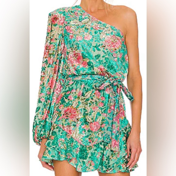 Hermant & Nandita Revolve Velvet Floral Metallic One Shoulder Mini Dress - Picture 2 of 16